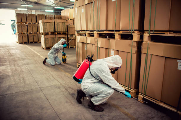 Best Pest Inspection Near Me  in Bridgetown, MS