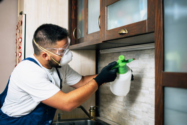 Best Best Pest Control Companies  in Bridgetown, MS