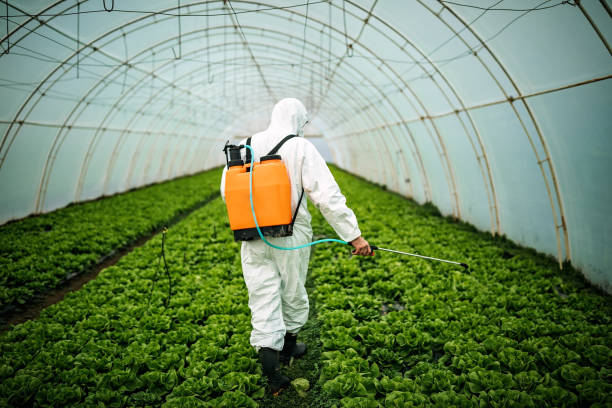 Best Best Pest Control Companies  in Bridgetown, MS