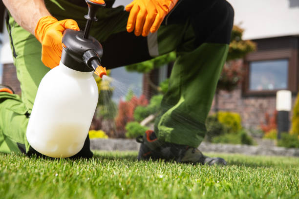 Best Wasp Removal Services  in Bridgetown, MS