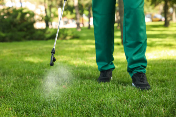 Best Pest Control Near Me in Bridgetown, MS