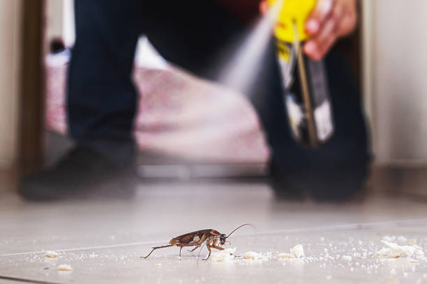 Pest Control for Restaurants in Bridgetown, MS
